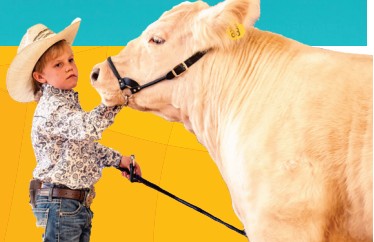 Junior Livestock Sale | Douglas County Fair & Rodeo 2025