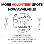 More Volunteer Spots