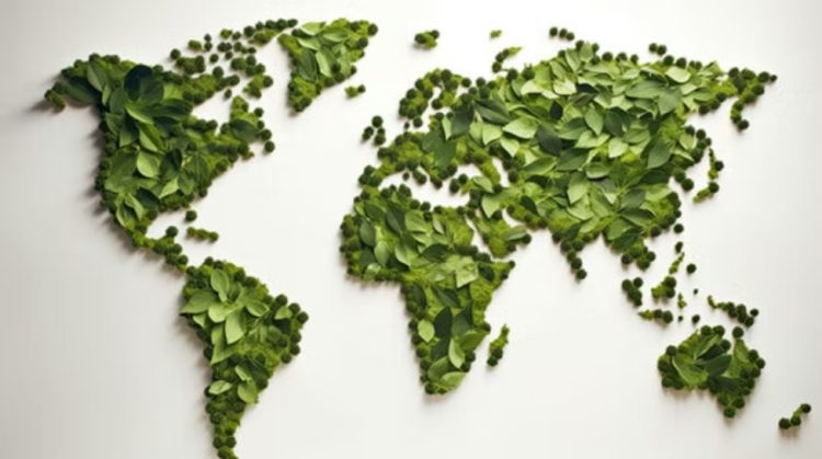 Tea Talks at Teaology
