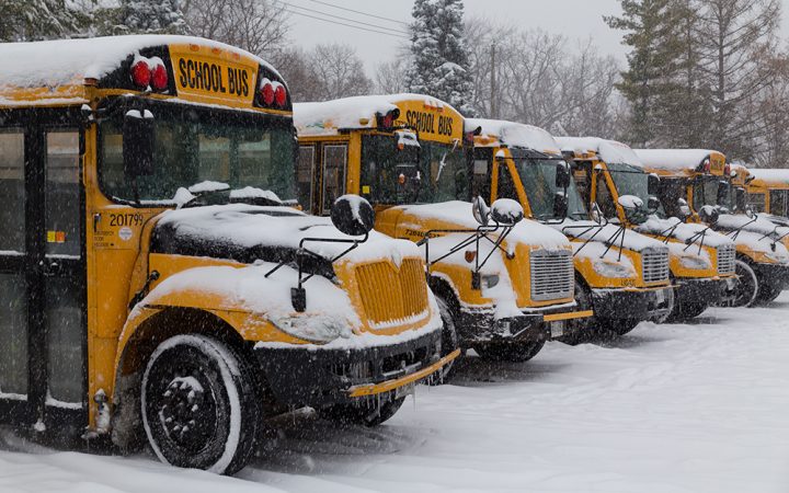 School Bus Castle Rock